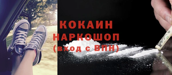 спайс Ладушкин