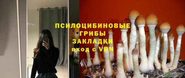mix Лабытнанги