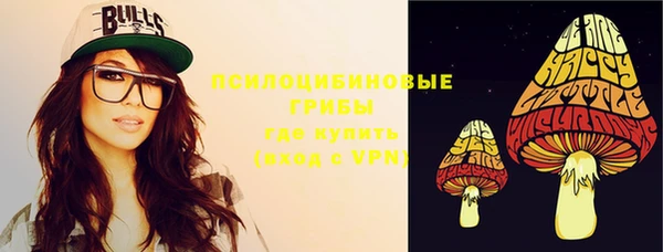 mix Лабытнанги