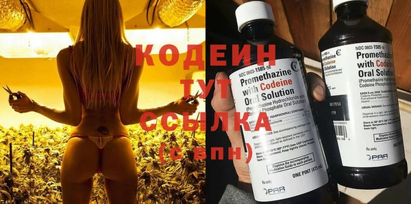 спайс Ладушкин