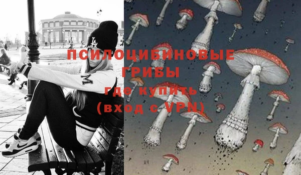 спайс Ладушкин